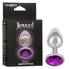Load image into Gallery viewer, Jewel Amethyst Plug - Small