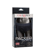 Load image into Gallery viewer, Packer Gear Brief Harness - Large / XL (Black)