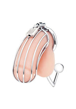Load image into Gallery viewer, Cock Cage with Anal Stimulator