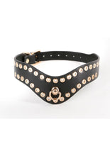Load image into Gallery viewer, Fetish and Fashion Kali Collar - Black/Gold