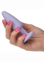 Load image into Gallery viewer, First Time Crystal Booty Kit Silicone Probes