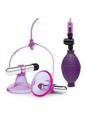 Load image into Gallery viewer, Lux Fetish Vibrating Nipple Suckers with Quick Release