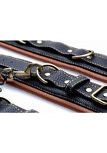 Load image into Gallery viewer, Master Series Coax Collar to Wrist Restraints