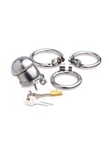 Load image into Gallery viewer, Master Series Exile Deluxe Locking Confinement Cage - Gray