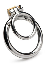 Load image into Gallery viewer, Master Series Locked Cock Stainless Steel Locking Cock and Ball Ring