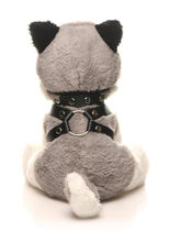 Load image into Gallery viewer, Master Series Max The Fetish Pup