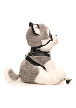 Load image into Gallery viewer, Master Series Max The Fetish Pup