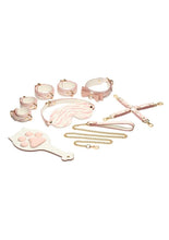 Load image into Gallery viewer, Master Series Pink Kitty Bondage - Metal/Multicolor - Set