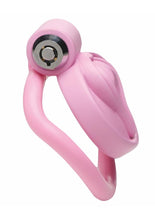 Load image into Gallery viewer, Master Series Pussification Vulva Chastity Cage