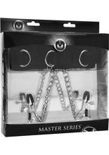 Load image into Gallery viewer, Master Series Submission Collar and Nipple Clamp Union - Black