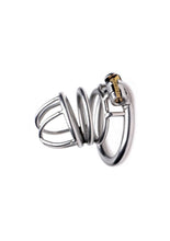 Load image into Gallery viewer, Master Series The Pen Deluxe Locking Chastity Cage