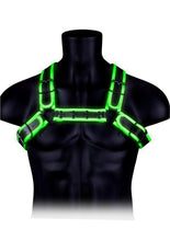 Load image into Gallery viewer, Ouch! Buckle Bulldog Harness - Black/Glow In The Dark/Green - Medium/Small