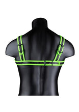Load image into Gallery viewer, Ouch! Buckle Harness