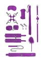 Load image into Gallery viewer, Ouch! Intermediate Bondage Kit