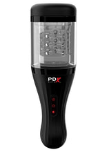 Load image into Gallery viewer, Pipedream Extreme Elite Rechargeable Talk Dirty Rotobator Masturbator - Pussy - Black/Clear/Flesh