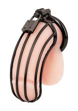 Load image into Gallery viewer, Prisoner Cock Cage