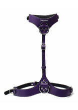 Load image into Gallery viewer, Punishment Body Harness - Silver