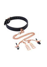 Load image into Gallery viewer, Punishment Choker and Nipple Clamps - Rose Gold