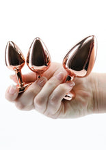 Load image into Gallery viewer, Rear Assets Aluminum Anal Plug Trainer Kit