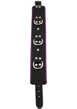 Load image into Gallery viewer, Rouge 3 D-Ring Padded Leather Adjustable Collar - Black/Purple