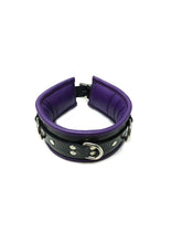 Load image into Gallery viewer, Rouge 3 D-Ring Padded Leather Adjustable Collar