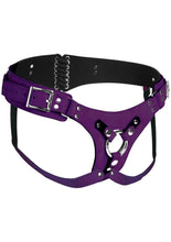 Load image into Gallery viewer, Strap U Bodice Deluxe Leather Corset Harness - Metal/Purple
