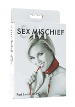Load image into Gallery viewer, S&M Leash and Collar (Red/Black)