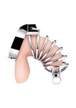 Load image into Gallery viewer, Urethral Play Cage Stainless