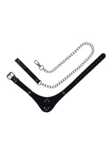 Load image into Gallery viewer, Velvet Noir Collar and Leash