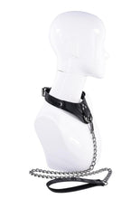 Load image into Gallery viewer, Velvet Noir Collar and Leash