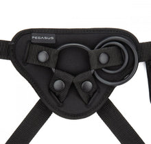 Load image into Gallery viewer, Pegasus Curved Ripple Peg & Harness Set - 6 inch (Pink)