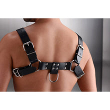 Load image into Gallery viewer, English Bull Dog Harness - Adjustable