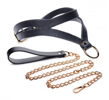 Load image into Gallery viewer, Black and Gold Collar with Leash Kit - One Size