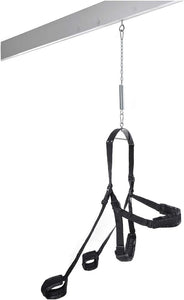 Fetish Fantasy Series Fantasy Swing