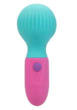 Load image into Gallery viewer, Naughty Bits To The Max Vibrating Wand - Blue/Pink
