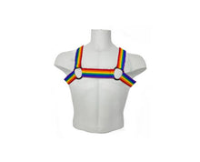 Load image into Gallery viewer, Harness Rainbow Infinity - Large/XL (Rainbow)
