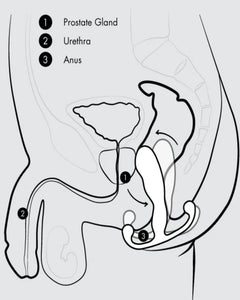 Aneros Maximus Male G-Spot Stimulator Trident Series