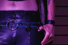 Load image into Gallery viewer, StyxnStones Harness
