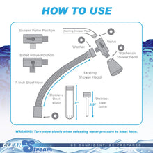 Load image into Gallery viewer, CleanStream Shower Enema System
