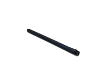 Load image into Gallery viewer, Sport Fucker Locker Room Hose - 12 inch (Black)
