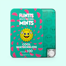Load image into Gallery viewer, Flintts Mints - Mild Strength
