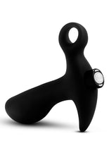 Load image into Gallery viewer, Anal Adventures Platinum Silicone Rechargeable Vibrating Prostate Massager 01
