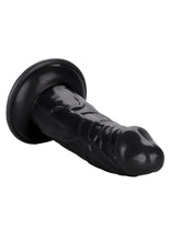 Load image into Gallery viewer, Back End Chubby Suction Cup Base Anal Plug Waterproof
