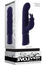 Load image into Gallery viewer, Big Deal Girthy Rechargeable Silicone Rabbit Vibrator - Purple
