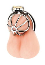 Load image into Gallery viewer, Blue Line Little Cock Chastity Cage - Stainless - Steel
