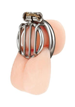 Load image into Gallery viewer, Blueline Stainless Steel Inverted Micro Jail Time Chastity Cage - Silver
