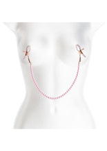 Load image into Gallery viewer, Bound Nipple Clamps Dc1
