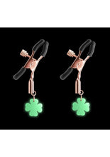 Load image into Gallery viewer, Bound Nipple Clamps G4 Iron
