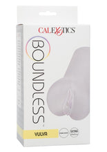 Load image into Gallery viewer, Boundless Vulva Masturbator - Clear/Frost
