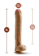 Load image into Gallery viewer, Dr. Skin Dr. Michael Dildo with Balls and Suction Cup
